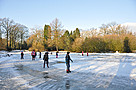 2012-02-11 11.04.59 DSC_0321